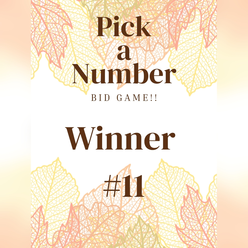Winner #11
